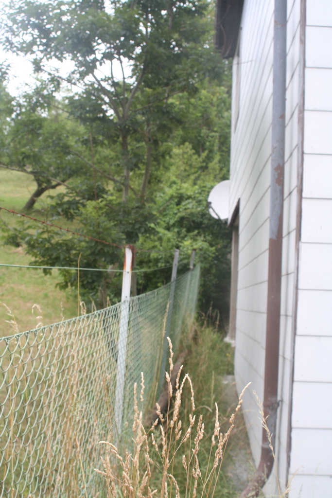 Seite links (von vorne)