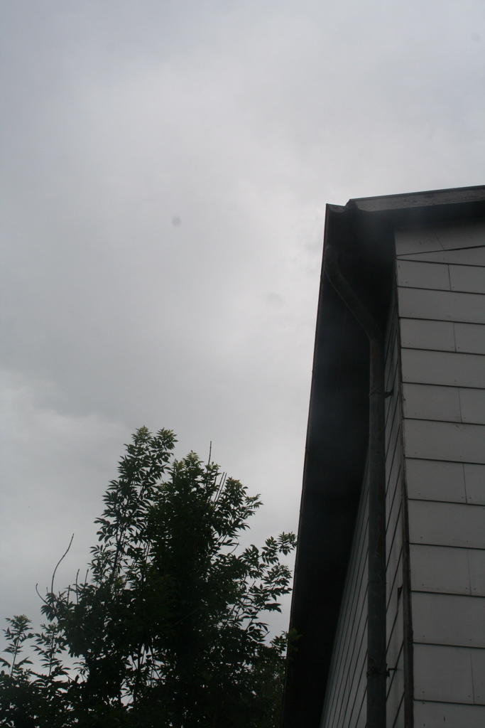 Seite links mit Dach (von vorne)